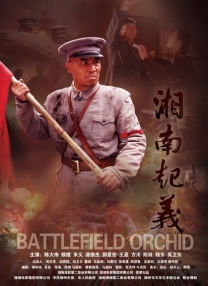 国产一区二区精品久久凹凸
